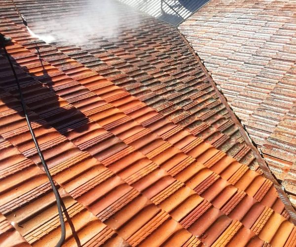 Moore Park roof clean roof tiles after washing and dirty roof tiles being washed